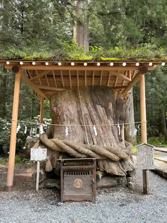 小國神社の{uncategorized: "未分類", other: "その他", undefined: "問題あり", building: "その他建物", grave: "お墓", sacred_gate: "鳥居", guardian: "狛犬", statue: "像", buddha: "仏像", history: "歴史", nature: "自然", garden: "庭園", animal: "動物", pagoda: "塔", temizu: "手水舎", mountain_gate: "山門・神門", sanctuary: "本殿・本堂", subordinate: "末社・摂社", art: "芸術", scenery: "景色", jizo: "地蔵", ema: "絵馬", goshuin: "御朱印", omikuji: "おみくじ", items: "授与品その他", amulet: "お守り", goshuincho: "御朱印帳", eats: "食事", festival: "お祭り", votive_dance: "神楽", shichigosan: "七五三参", wedding: "結婚式", experience: "体験その他", initially: "初詣", around: "周辺", anti_infection: "感染症対策"}