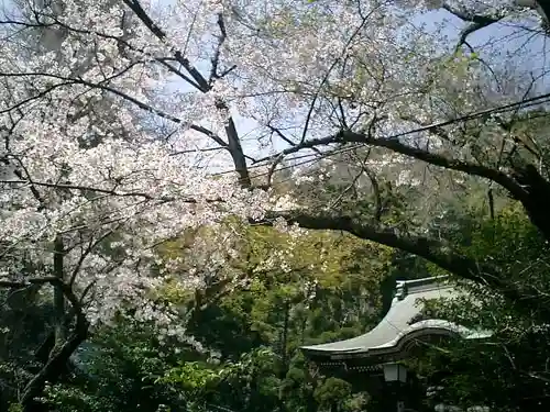 御霊神社の自然