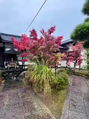 曇華院門跡(京都府)