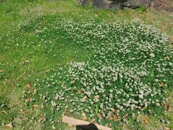 長岡寺(群馬県)