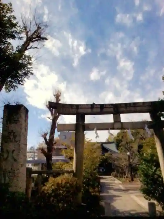 鳩森八幡神社の鳥居