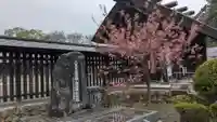 札幌護國神社の自然