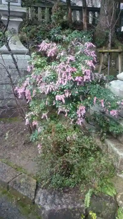 長岡天満宮の自然