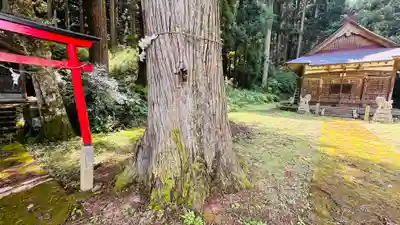春日神社(兵庫県)
