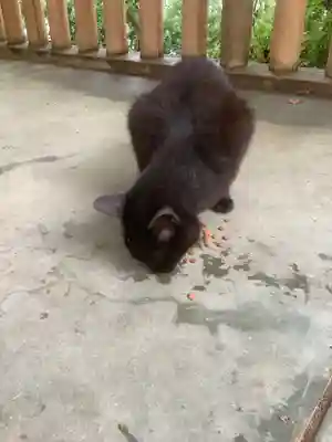 玉野御嶽神社(愛知県)