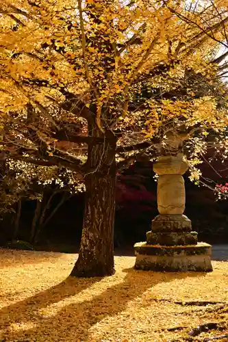 東光寺(滋賀県)
