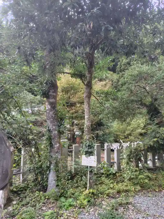 大嶽神社(東京都)
