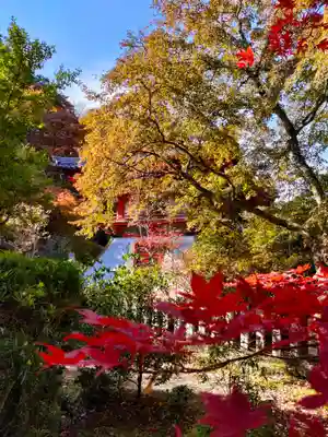 新大佛寺(三重県)