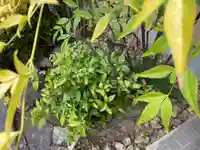 西方山極楽寺の自然