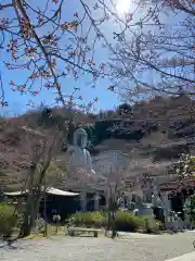 南法華寺（壷阪寺）の仏像