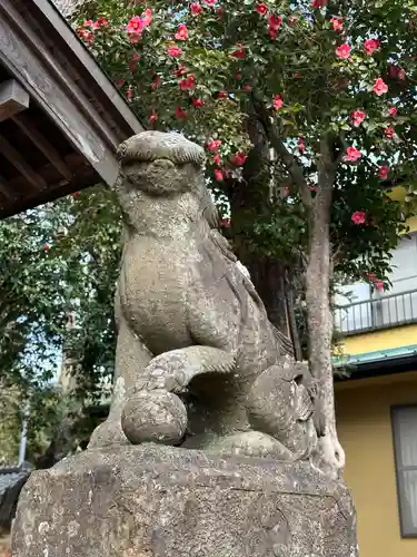 東中野熊野神社の狛犬