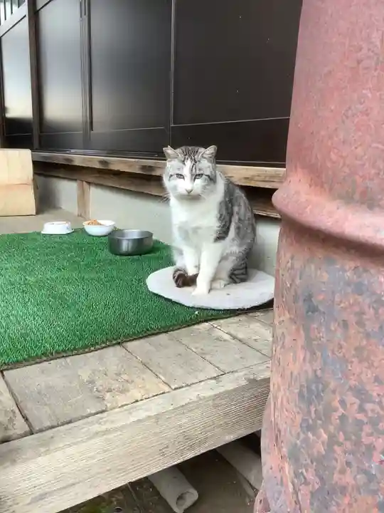 八大龍王本殿(岐阜県)