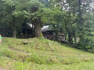 諏訪大社上社前宮(長野県)