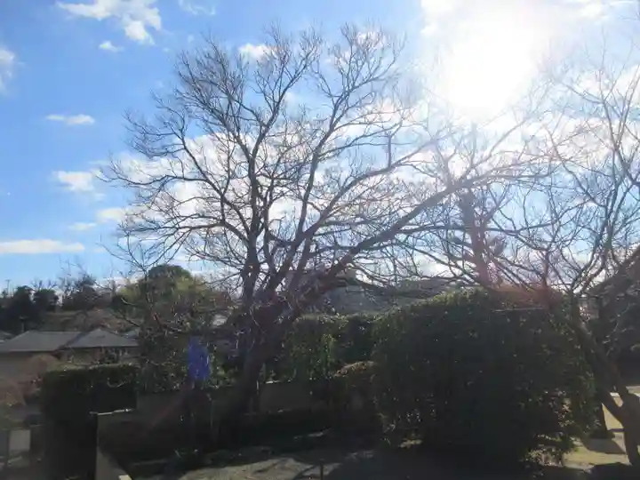 勝國寺(神奈川県)