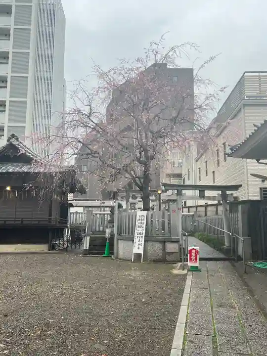 荻窪白山神社(東京都)