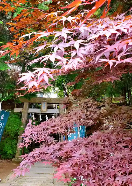 滑川神社 - 仕事と子どもの守り神の鳥居