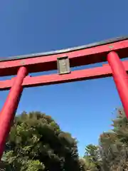 進雄神社(群馬県)