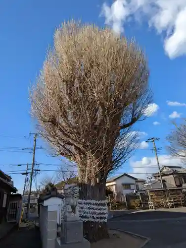 子守神社(千葉県)