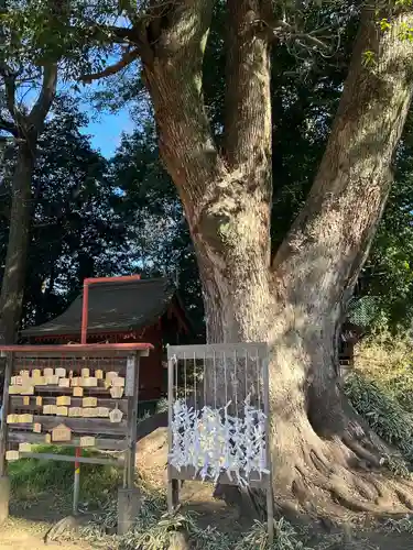 三芳野神社(埼玉県)