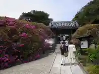 安養院 (田代寺)の周辺