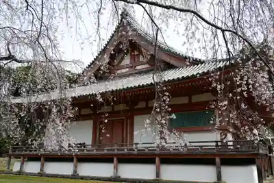 醍醐寺(京都府)