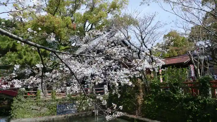 牛嶋天満宮の自然