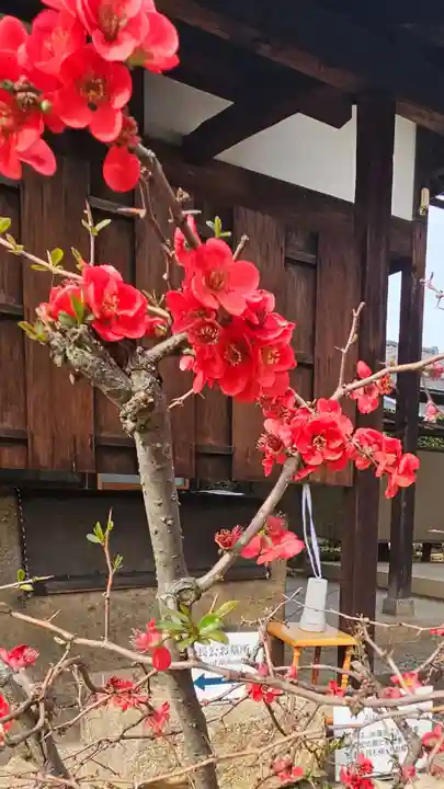 総見院(京都府)