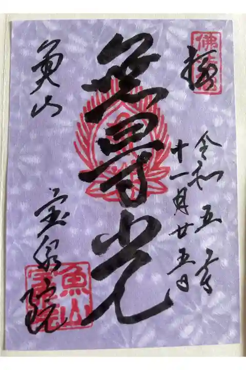 額縁庭園からみる五葉松