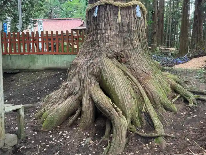 七崎神社(青森県)