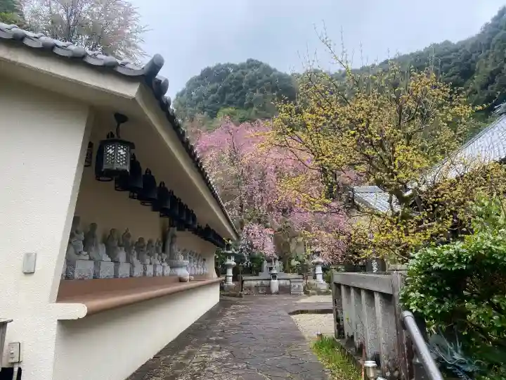慈雲寺の{uncategorized: "未分類", other: "その他", undefined: "問題あり", building: "その他建物", grave: "お墓", sacred_gate: "鳥居", guardian: "狛犬", statue: "像", buddha: "仏像", history: "歴史", nature: "自然", garden: "庭園", animal: "動物", pagoda: "塔", temizu: "手水舎", mountain_gate: "山門・神門", sanctuary: "本殿・本堂", subordinate: "末社・摂社", art: "芸術", scenery: "景色", jizo: "地蔵", ema: "絵馬", goshuin: "御朱印", omikuji: "おみくじ", items: "授与品その他", amulet: "お守り", goshuincho: "御朱印帳", eats: "食事", festival: "お祭り", votive_dance: "神楽", shichigosan: "七五三参", wedding: "結婚式", experience: "体験その他", initially: "初詣", around: "周辺", anti_infection: "感染症対策"}