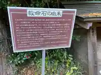 丹那神社(静岡県)