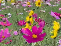 成身院 百体観音堂(さざえ堂)(埼玉県)