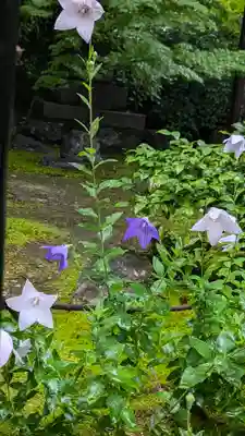 勝林寺(京都府)