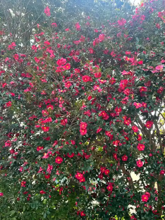 比佐豆知神社の{uncategorized: "未分類", other: "その他", undefined: "問題あり", building: "その他建物", grave: "お墓", sacred_gate: "鳥居", guardian: "狛犬", statue: "像", buddha: "仏像", history: "歴史", nature: "自然", garden: "庭園", animal: "動物", pagoda: "塔", temizu: "手水舎", mountain_gate: "山門・神門", sanctuary: "本殿・本堂", subordinate: "末社・摂社", art: "芸術", scenery: "景色", jizo: "地蔵", ema: "絵馬", goshuin: "御朱印", omikuji: "おみくじ", items: "授与品その他", amulet: "お守り", goshuincho: "御朱印帳", eats: "食事", festival: "お祭り", votive_dance: "神楽", shichigosan: "七五三参", wedding: "結婚式", experience: "体験その他", initially: "初詣", around: "周辺", anti_infection: "感染症対策"}