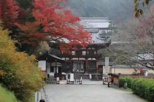 岡寺（龍蓋寺）の建物その他