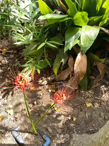 普門院の庭園