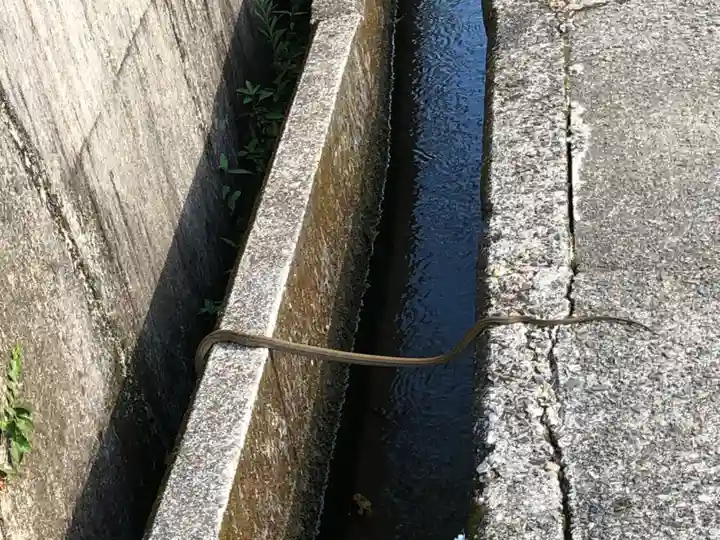 大斎原(熊野本宮大社旧社地)(和歌山県)