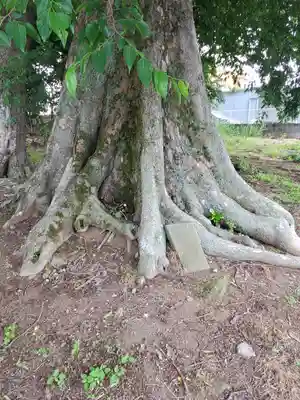 日枝神社(栃木県)