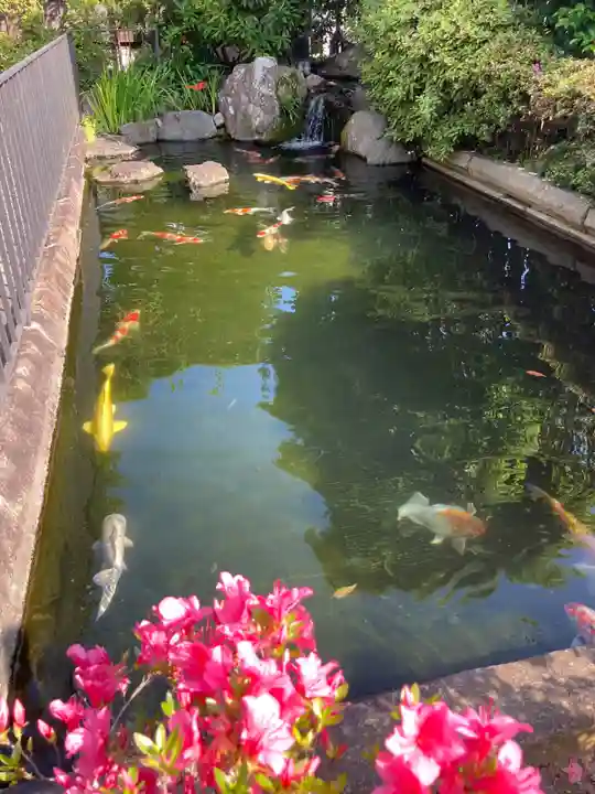 雲頂庵(神奈川県)