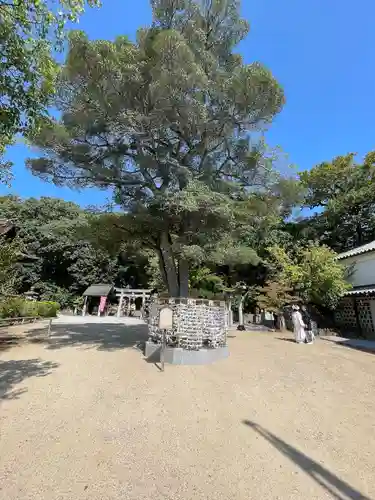 阿智神社(岡山県)