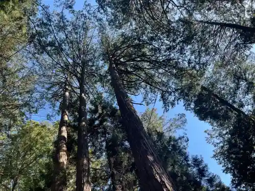 三峯神社(埼玉県)