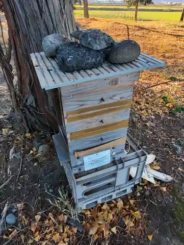 厄除姫稲荷神社(栃木県)
