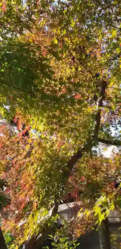 香取神社の自然