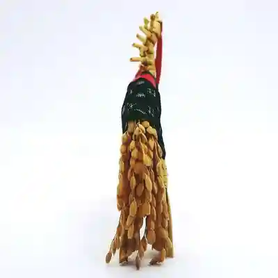 深大寺(東京都)