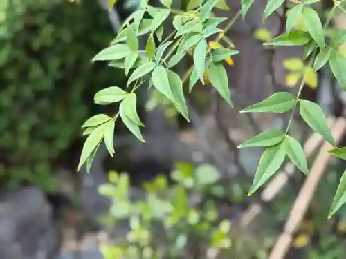 西方山極楽寺(岐阜県)