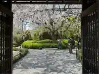 退蔵院(京都府)