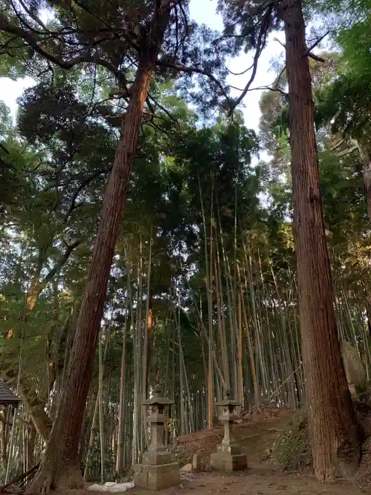 諏訪大神(千葉県)