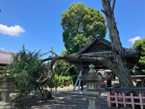 梅田神社(京都府)