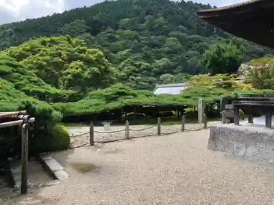 善峯寺(京都府)
