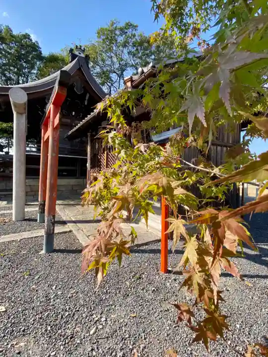 玉田神社(京都府)
